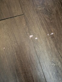 Floor next to bed heading to bathroom