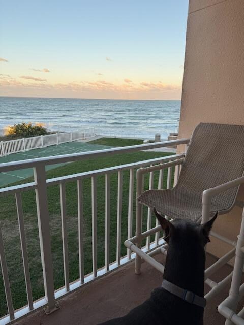Our boy Blue watching the waves and getting a great Ocean breeze