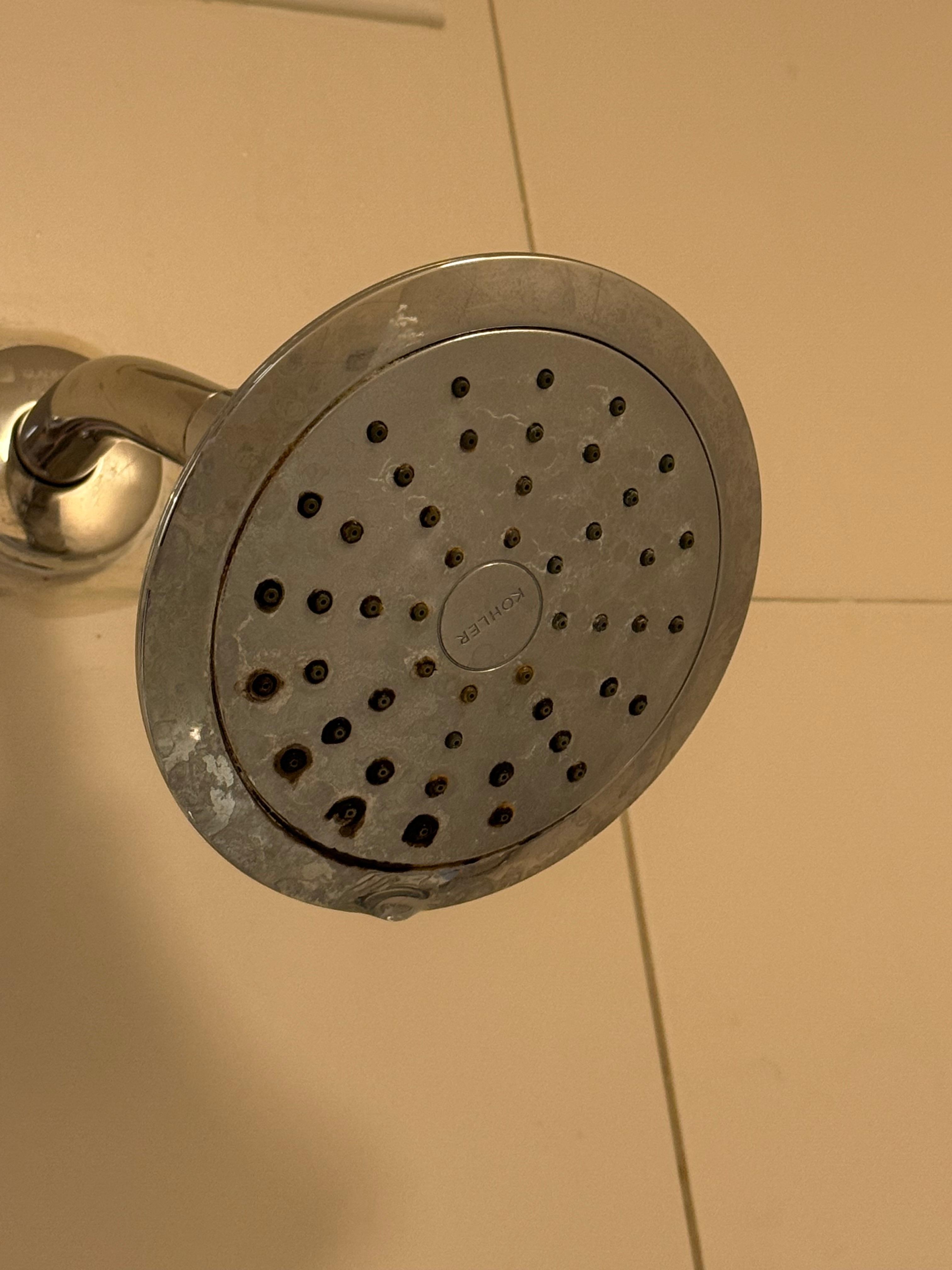 Moldy gross shower head