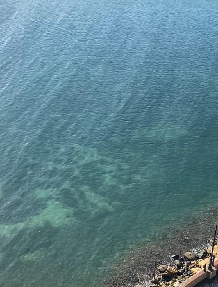 Water gets shallow up close to the hotel and you can see the beautiful colors and there is a family of manatees that live in the bay