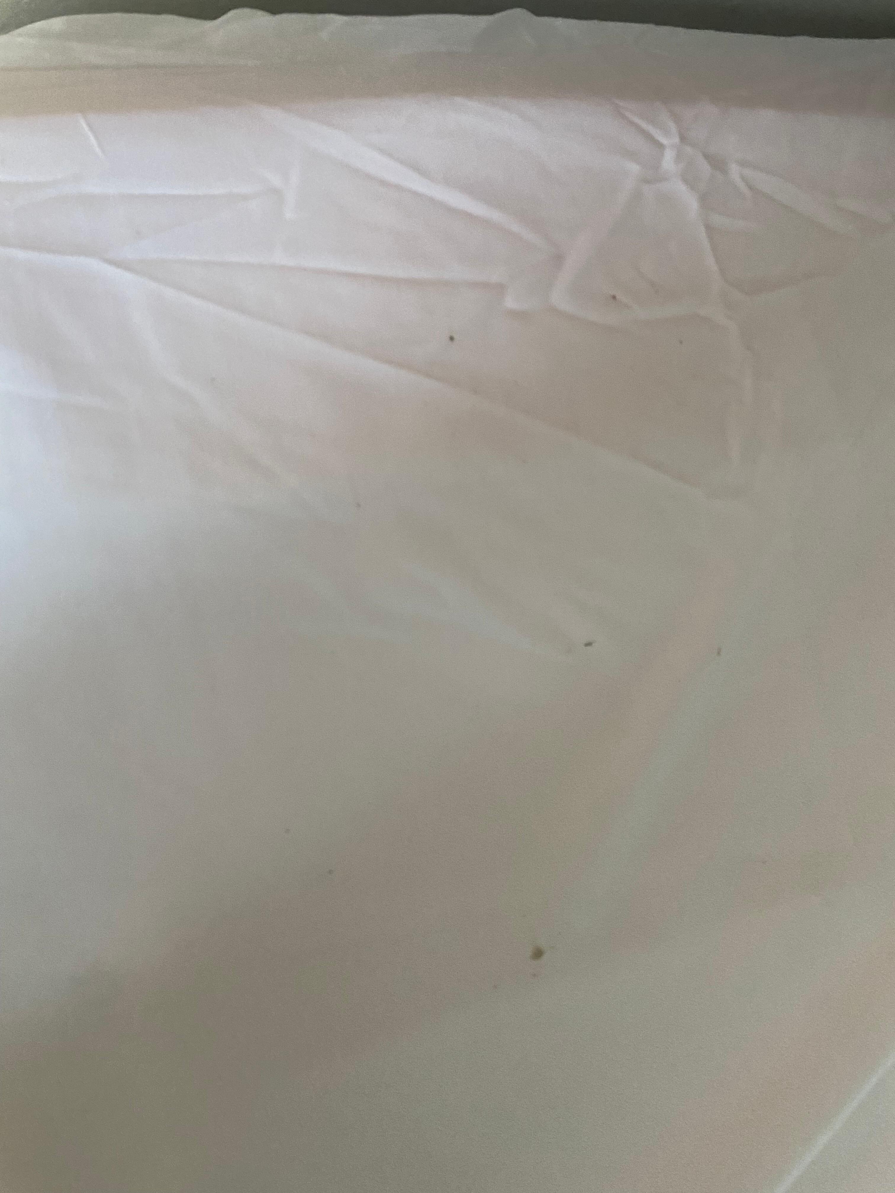 Stains 
