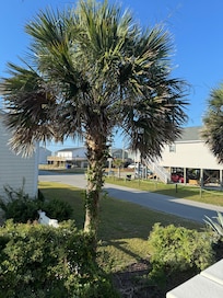 View from the corner deck.