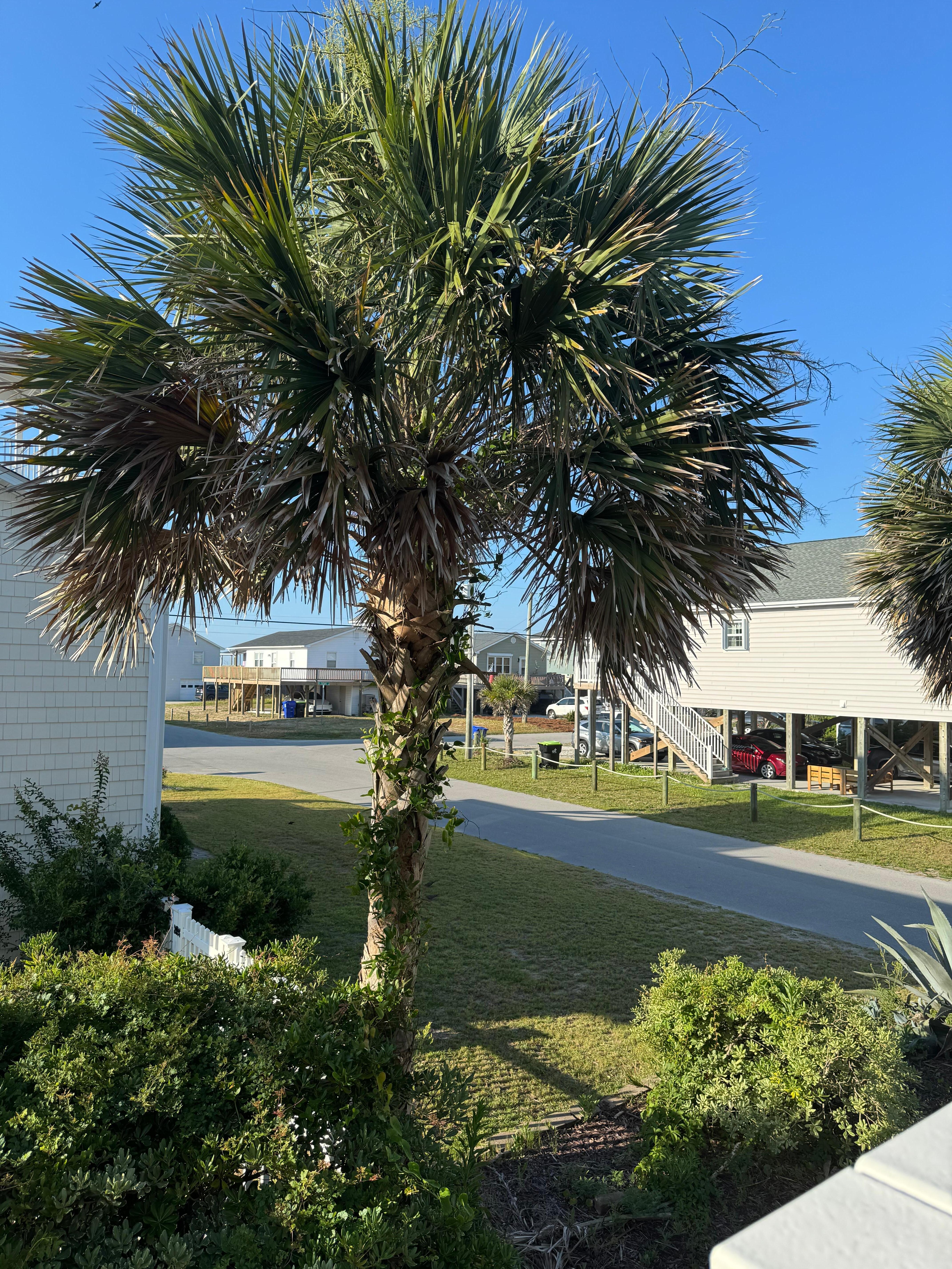 View from the corner deck.