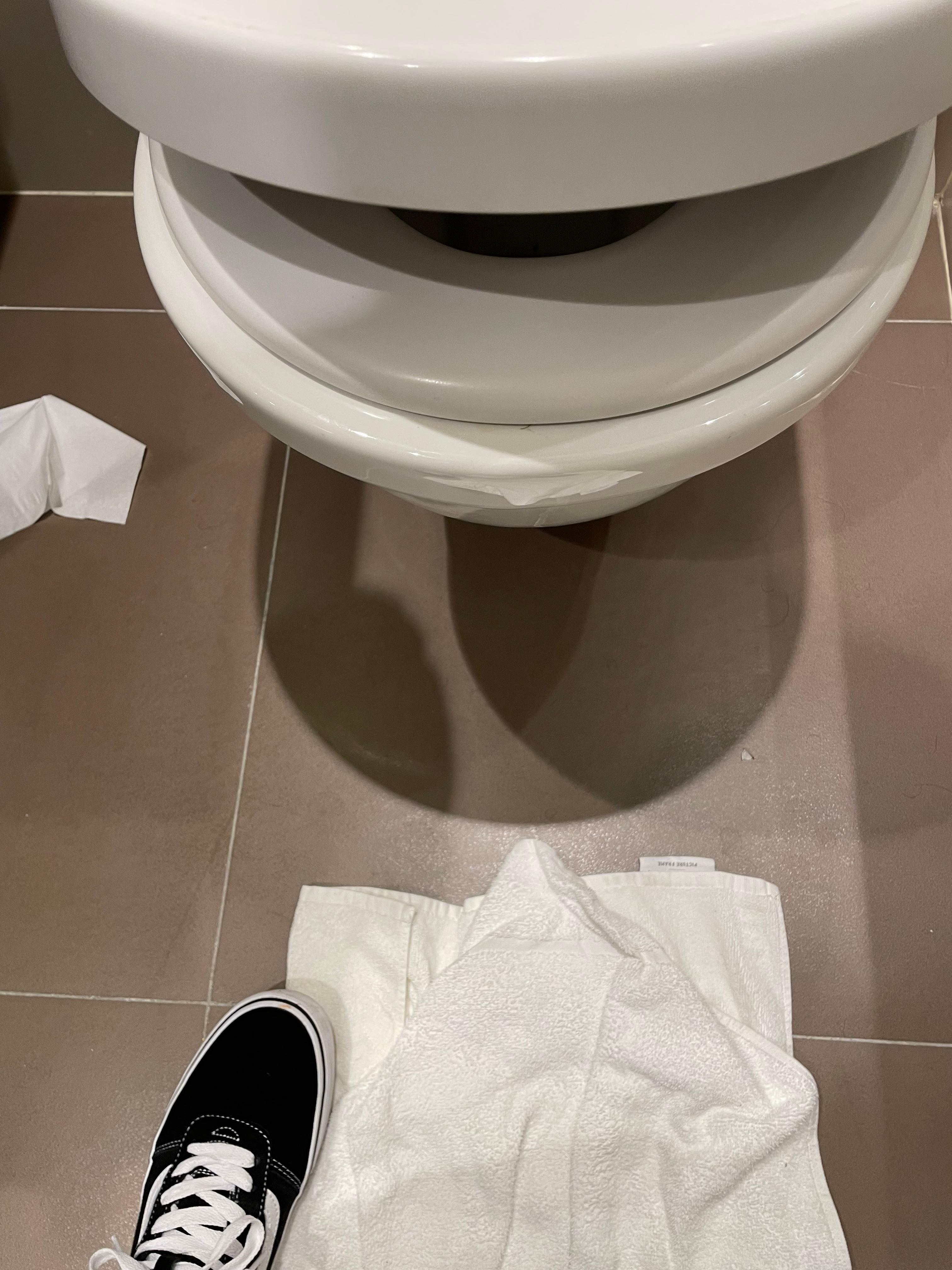 The seat was too small to fit the toilet!