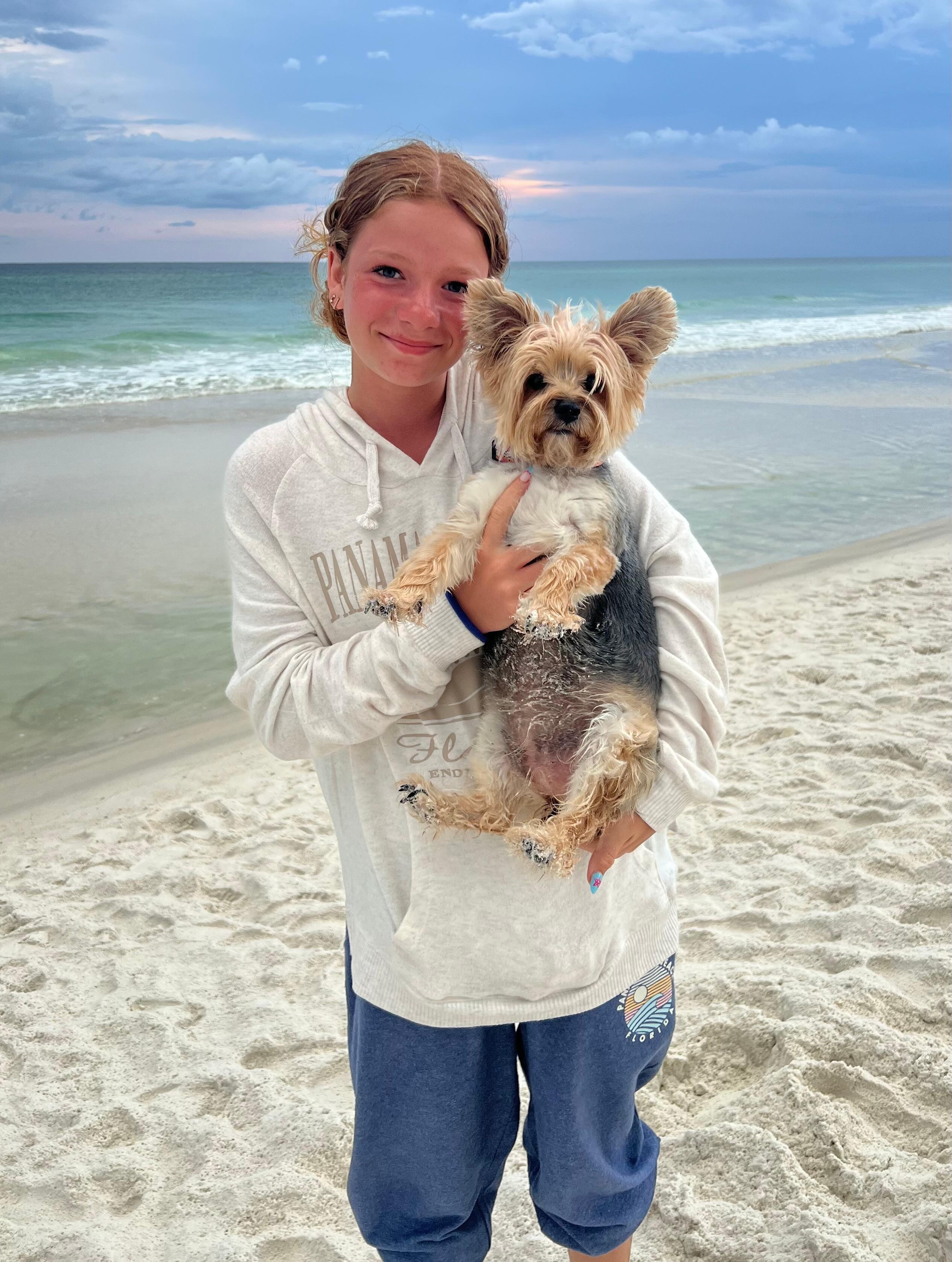 Isadora the Morkie loves the beach