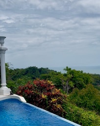 what a great view for wildlife