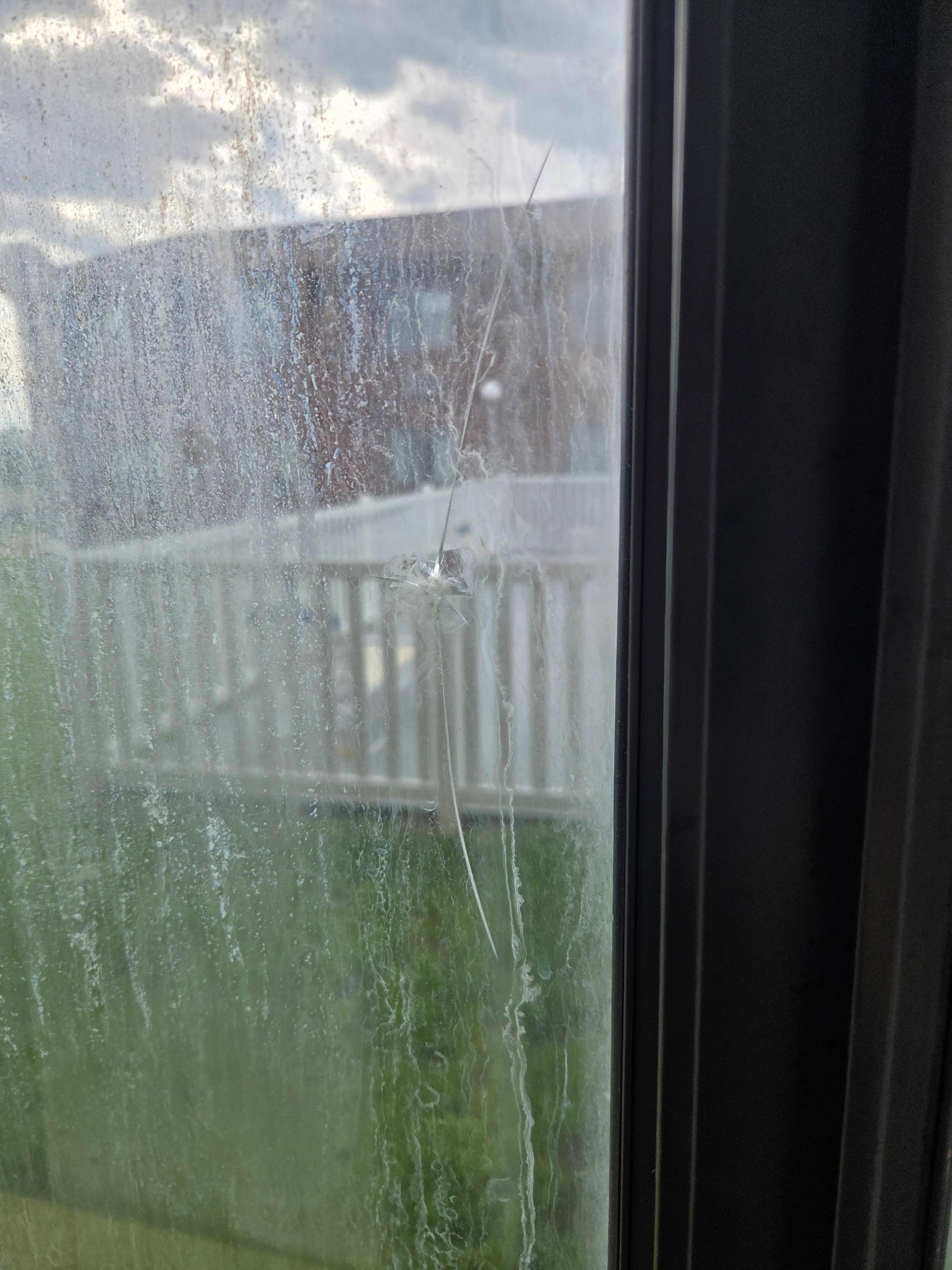 Bullet hole in window