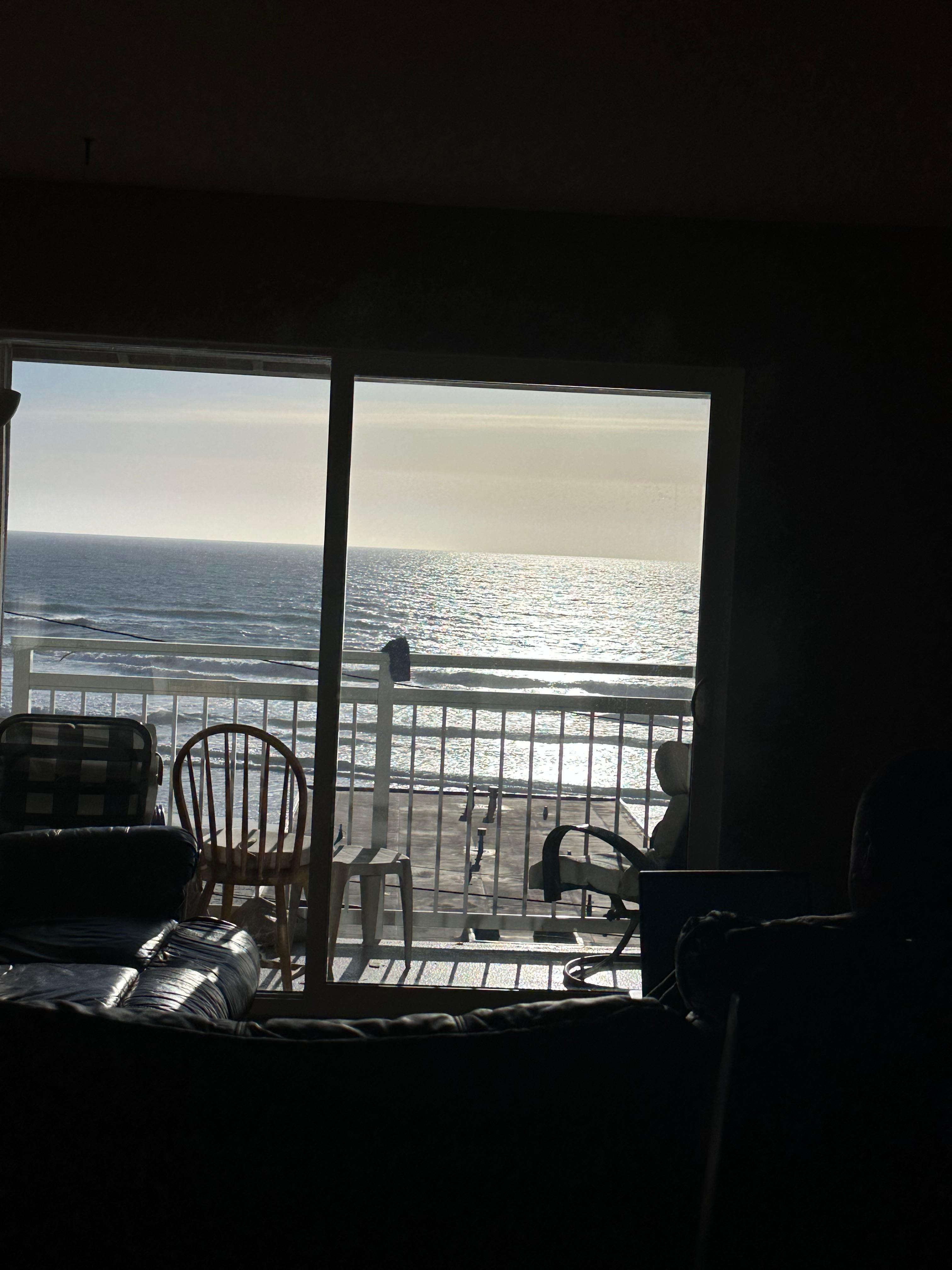 Enjoying the view from the couch. 
