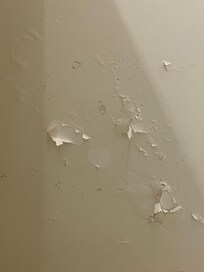 Ceiling in the bathroom falling apart, moldy ceiling… some flakes fell in my hair