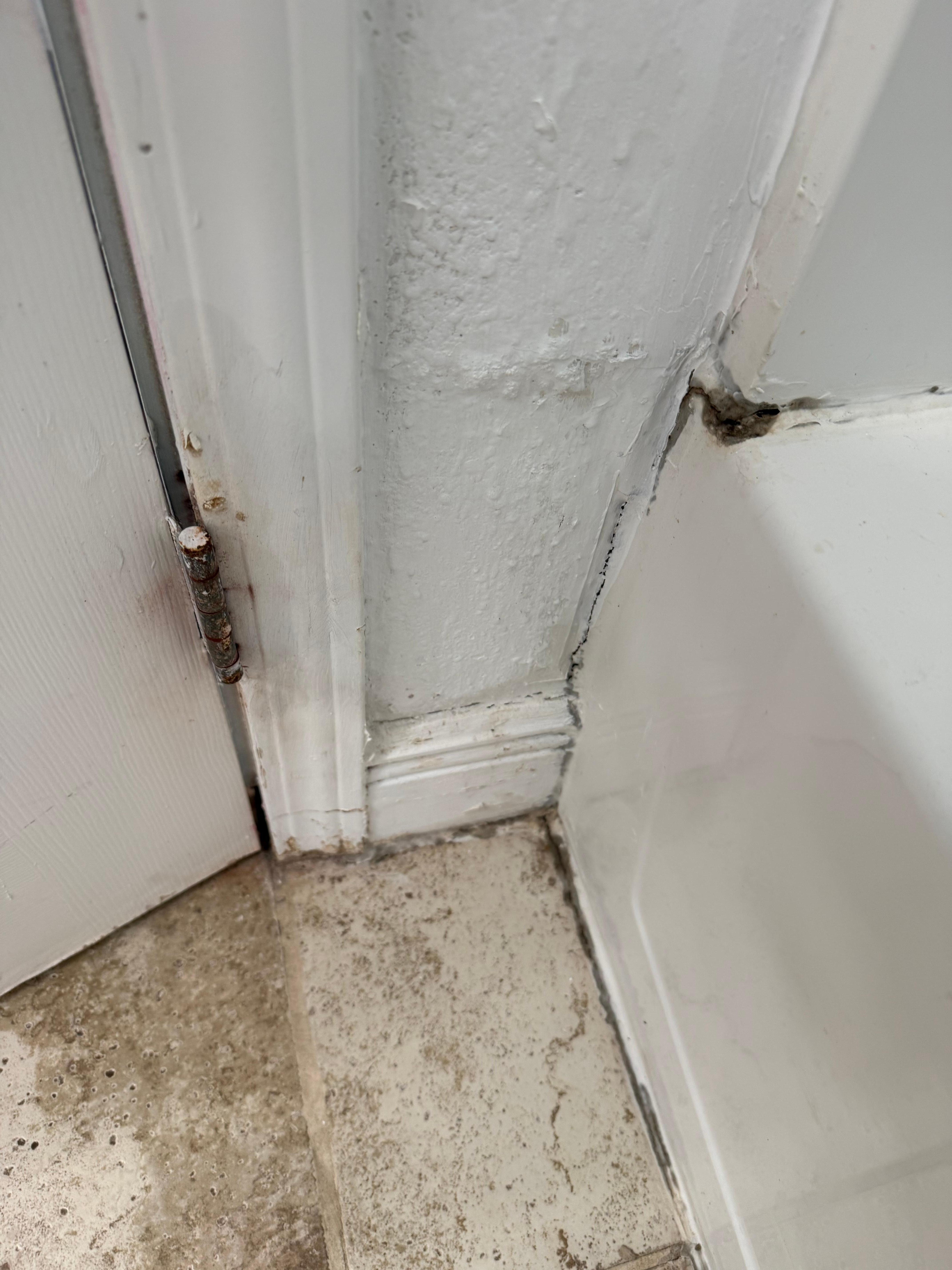 One of the bathrooms.