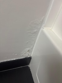 Bathroom wall by tub/ shower