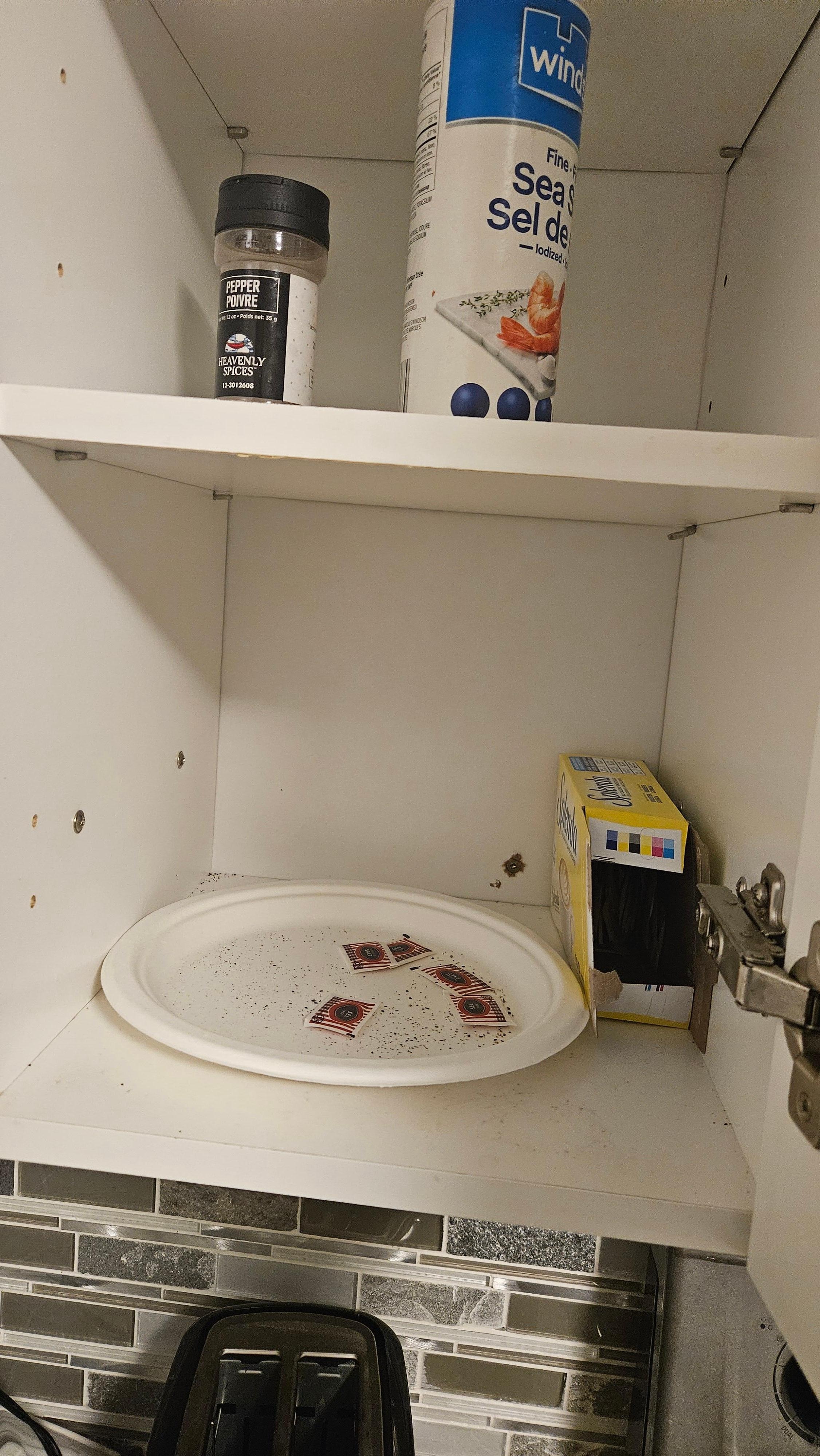 Coffee and spice cupboard