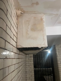 Mold growing in the basement of the building..