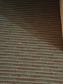 Someone else’s lunch