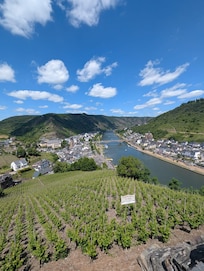 Blick von der Reichsburg Cochem auf die Mosel