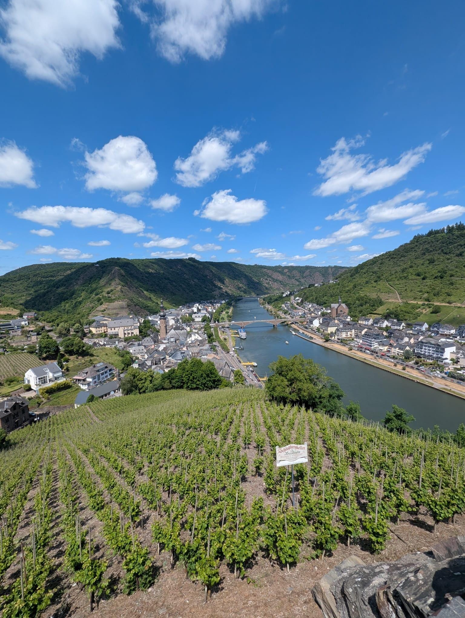 Blick von der Reichsburg Cochem auf die Mosel
