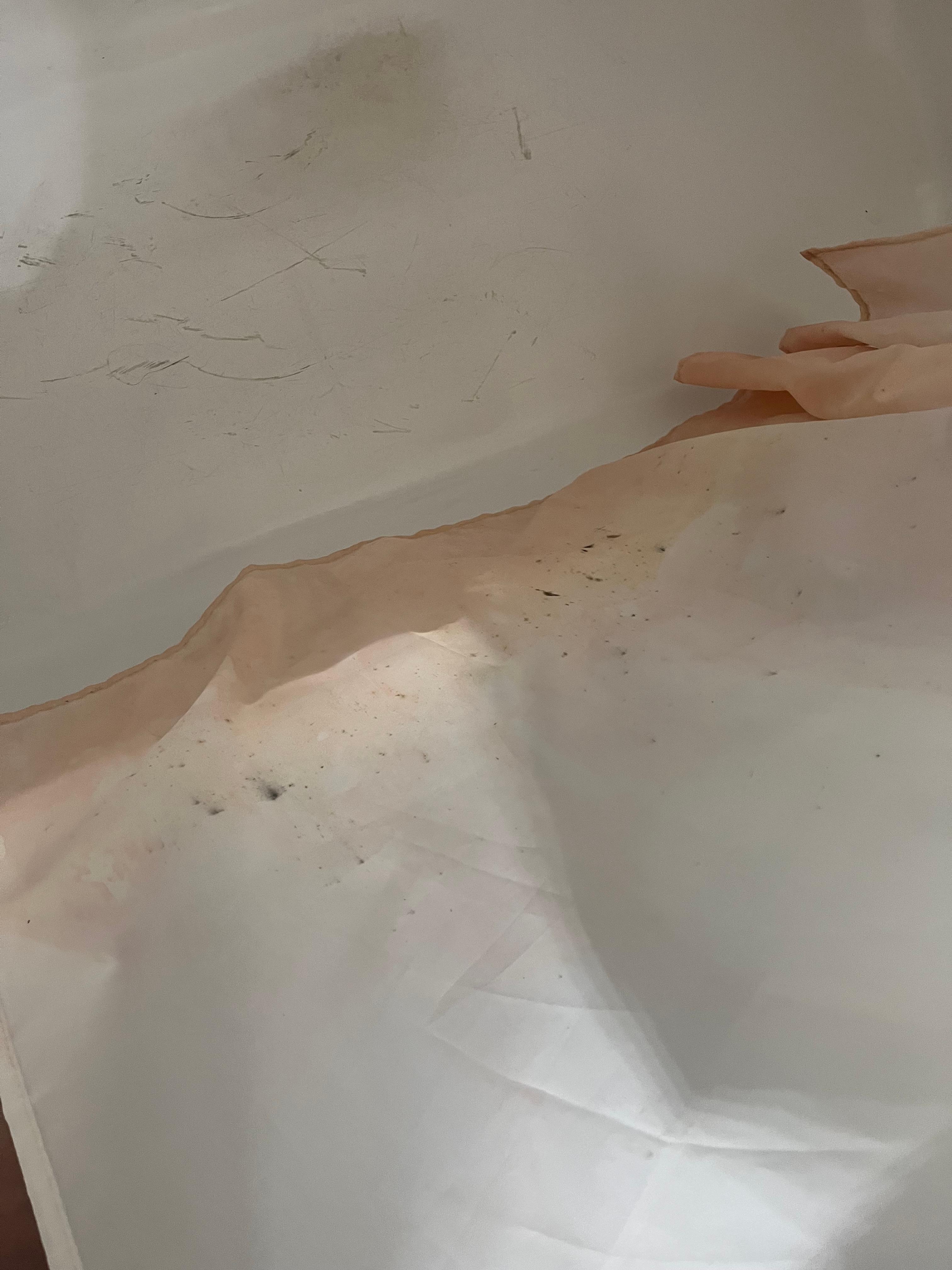 Moldy shower curtain