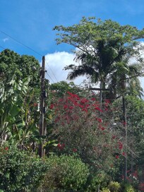 Trilha de acesso aos açudes