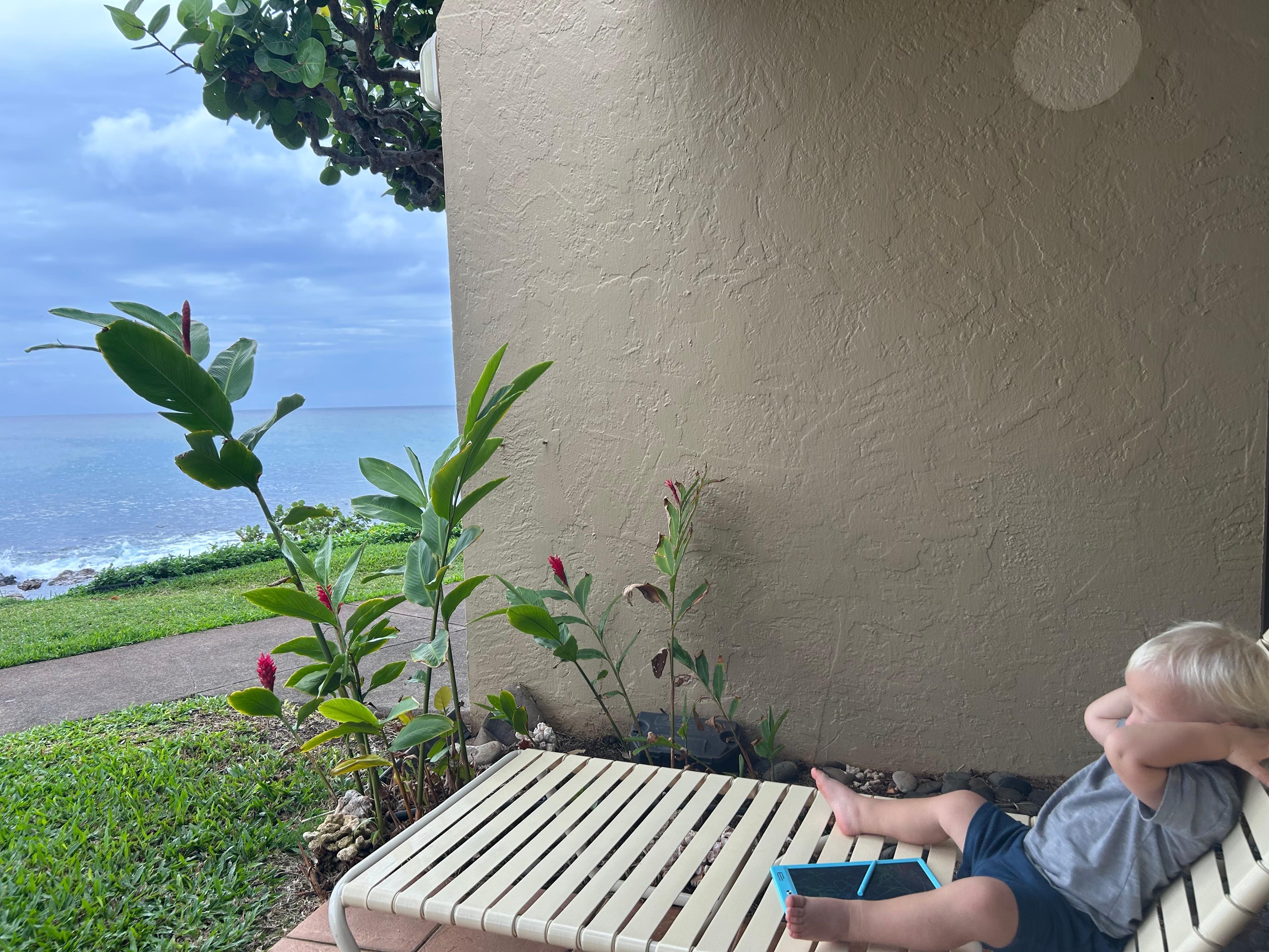 Our son thoroughly enjoyed his stay in Maui! The view is even better than photos. 