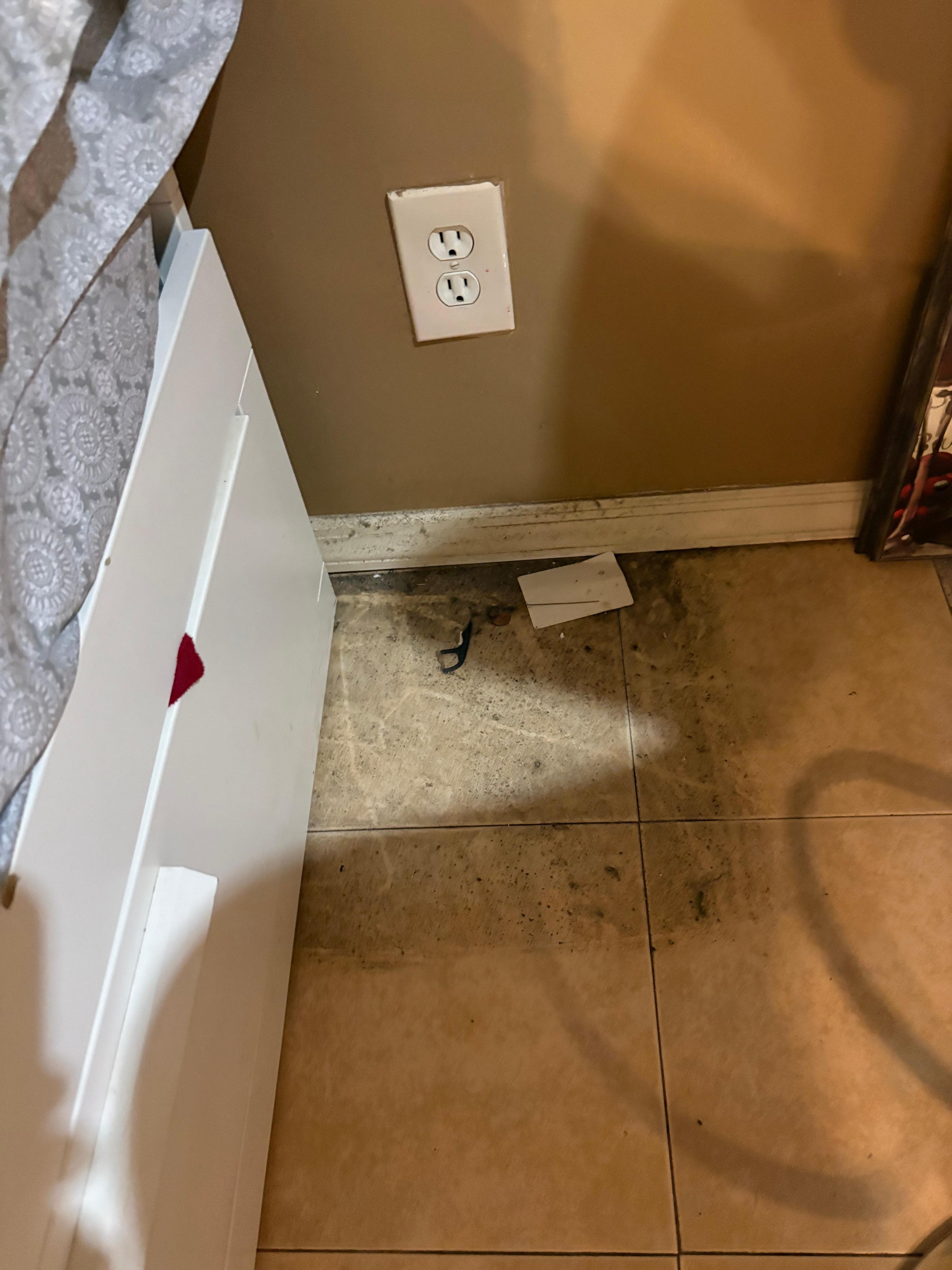 Dirty floor in unit
