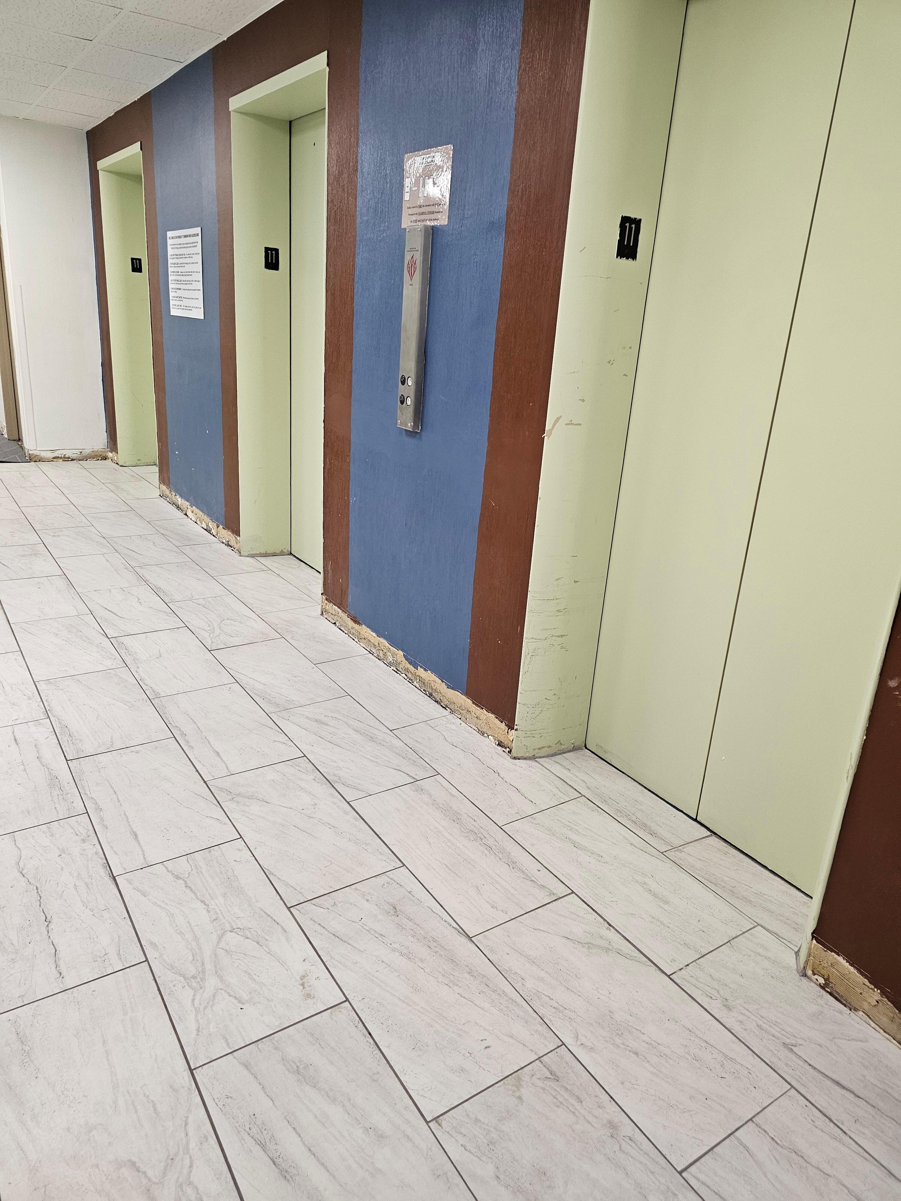 Baseboards completely torn out and bugs stuck to wall