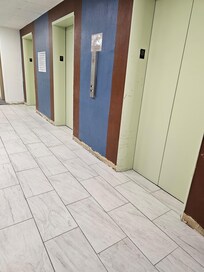 Baseboards completely torn out and bugs stuck to wall