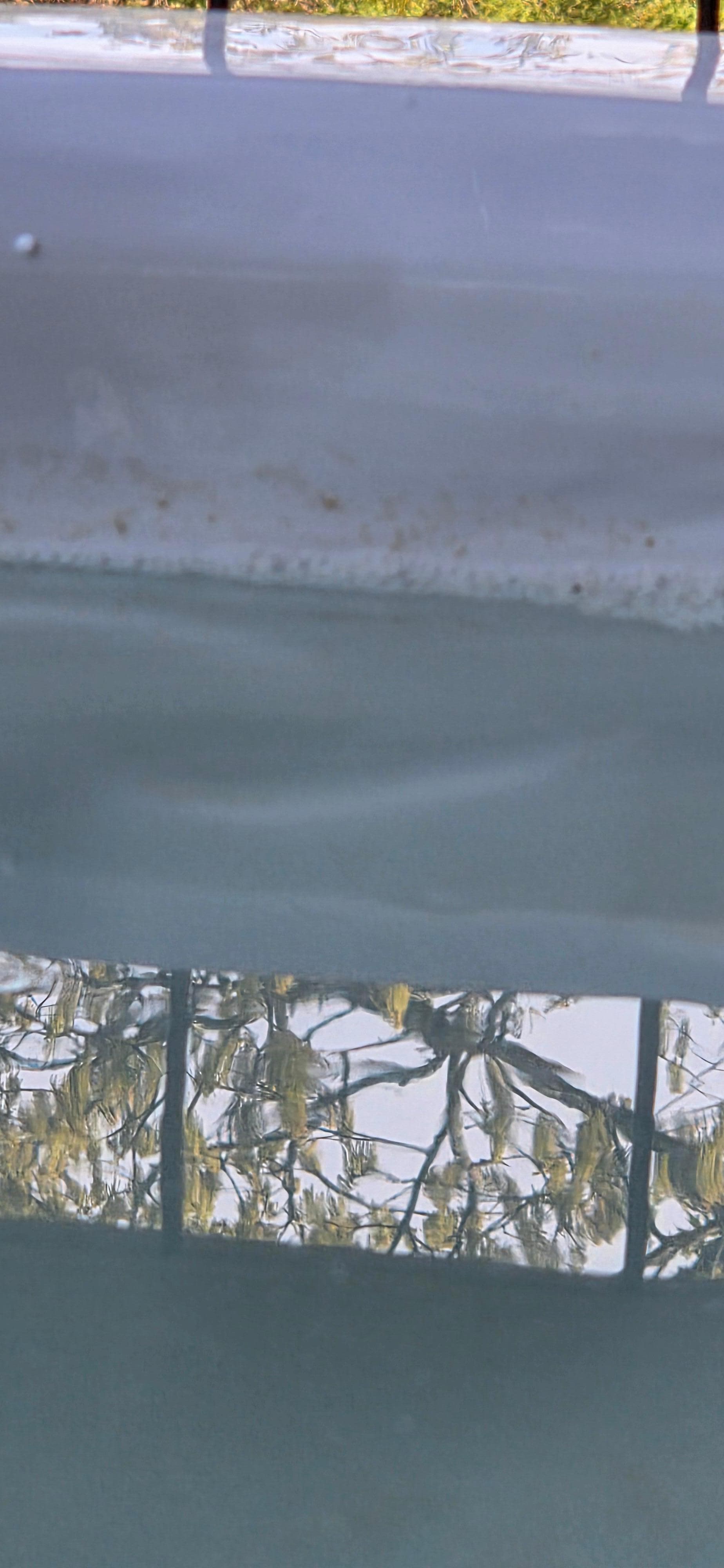 Gross things growing on side of hot tub