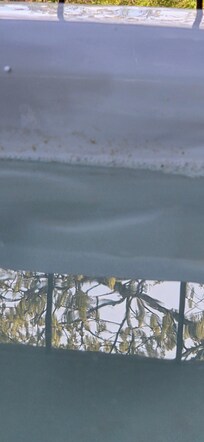 Gross things growing on side of hot tub