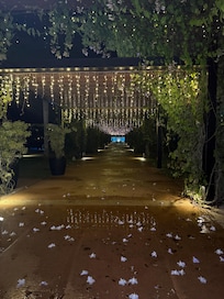 Resort walk at Night