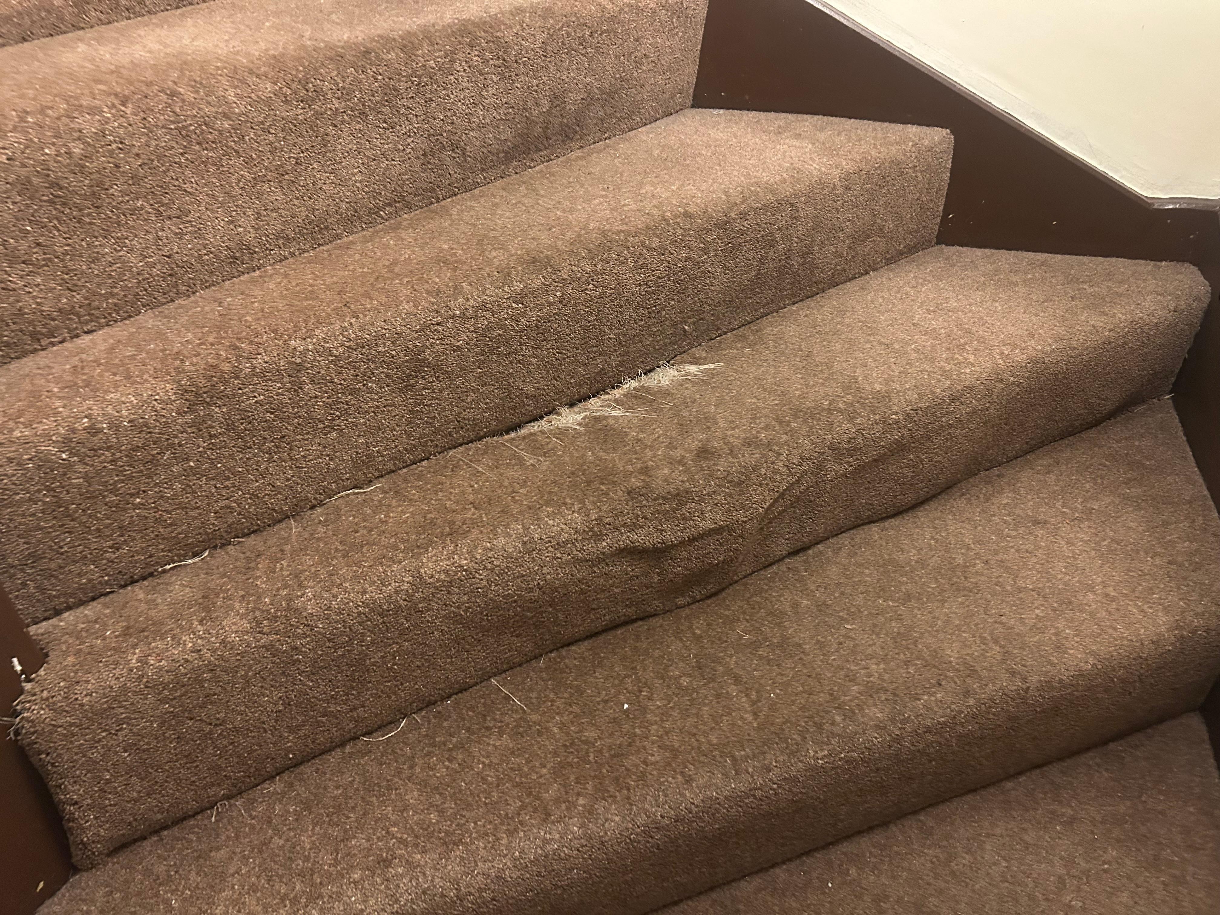 Ripped carpet in hallway 