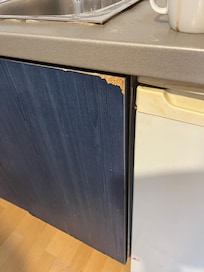 Typical of the condition the whole apartment was in