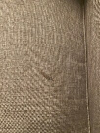 Dirty furniture. Made me wonder about the sheets.