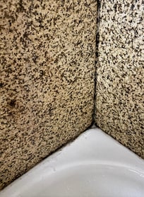 Shower mold