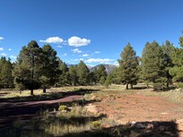 View from front porch