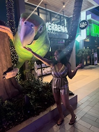 T-Mobile center attraction.