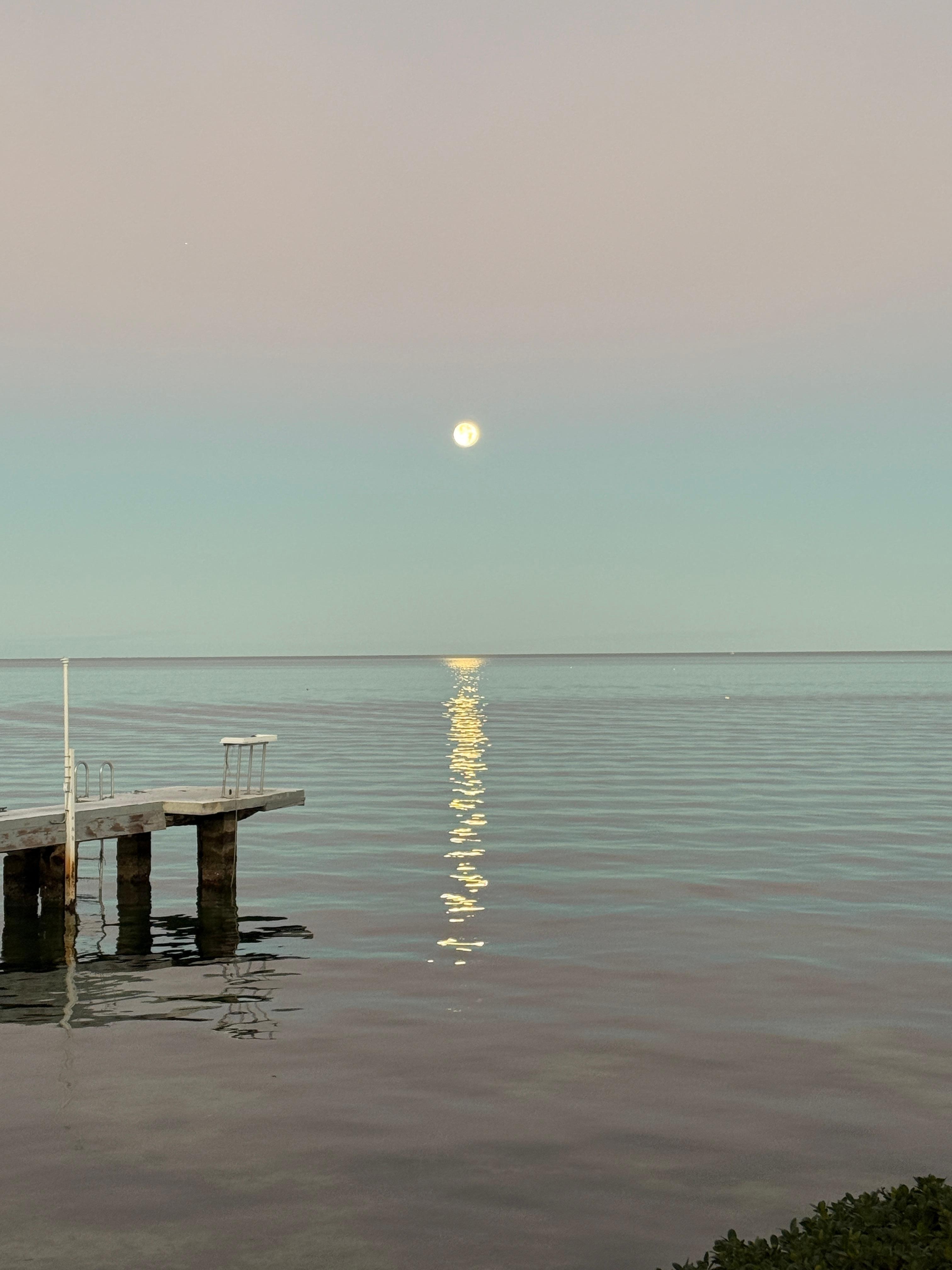 Moon setting past the dock 