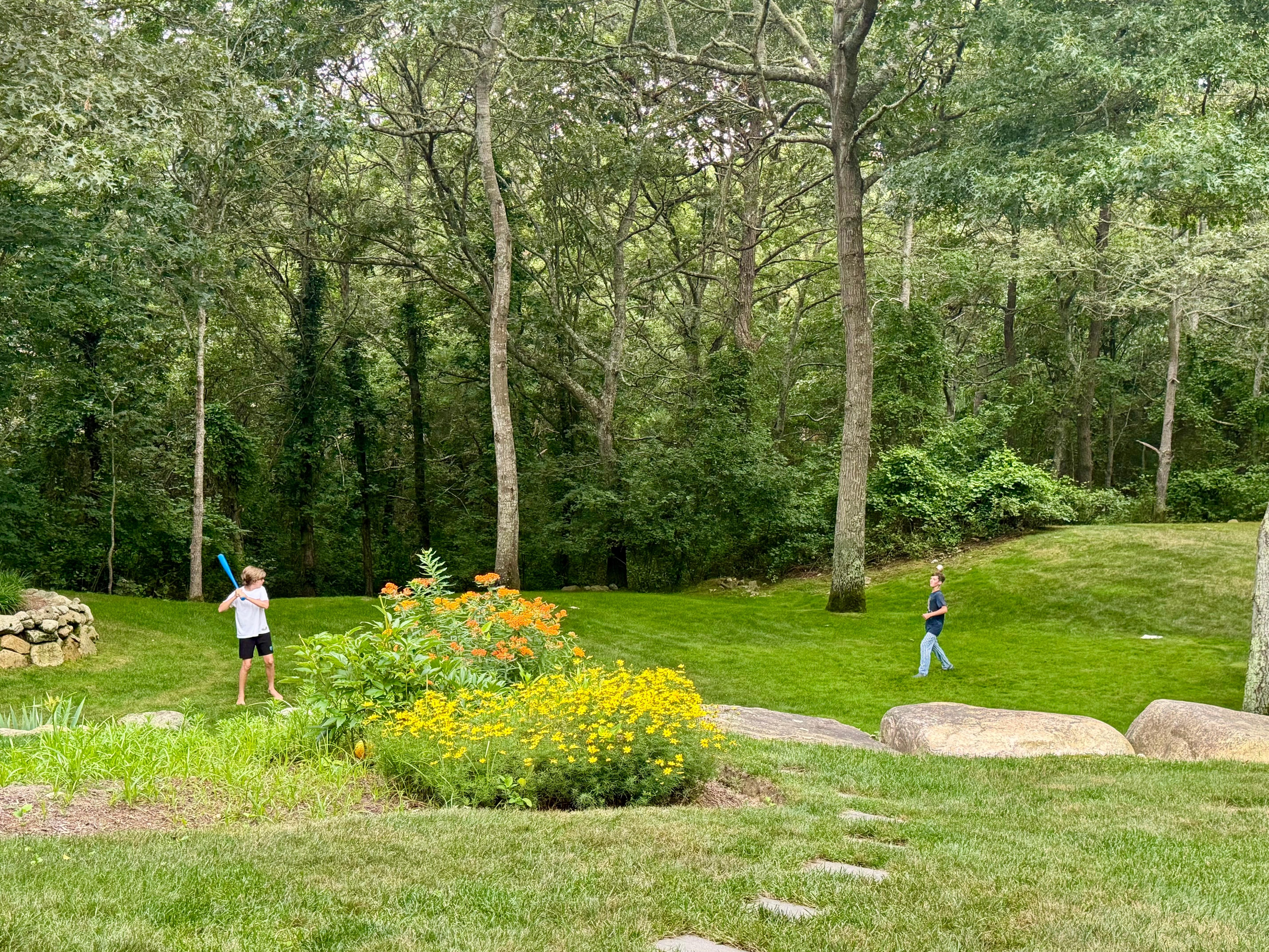 Wiffleball in the backyard 