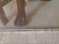 Mold on floor in shower