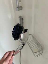 Broken shower head found