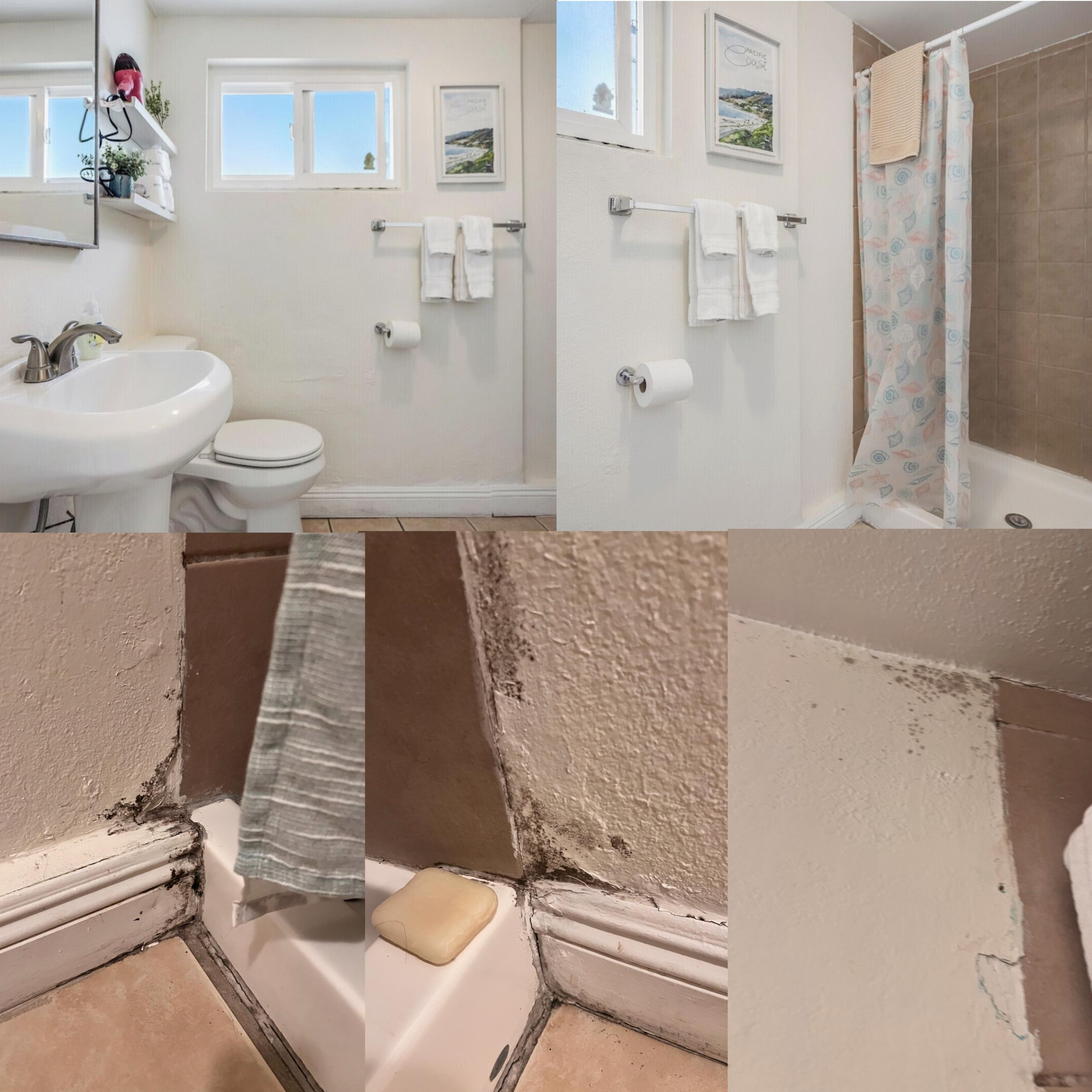 What the bathroom a was supposed to look like and what it actually was
