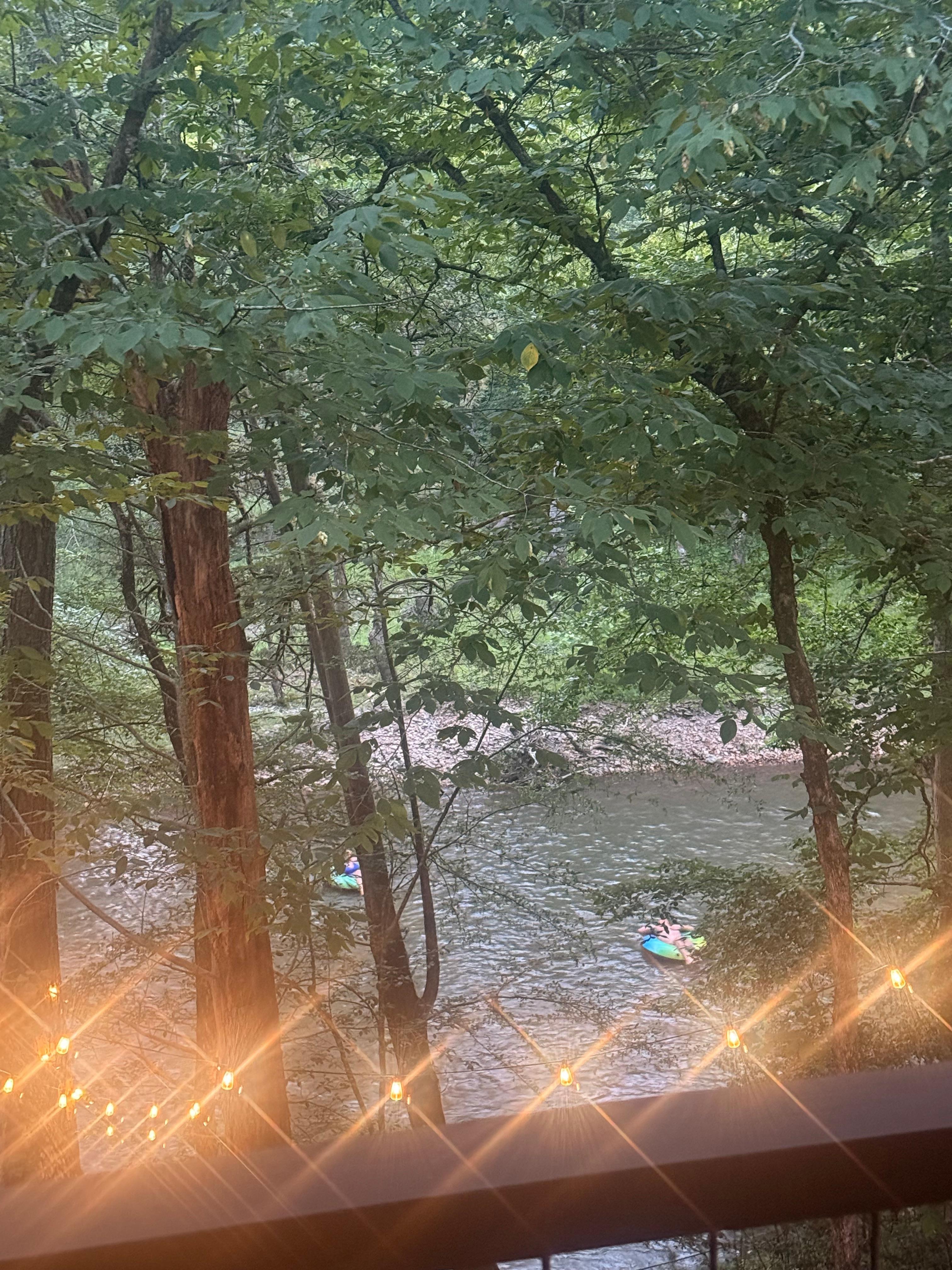 Back porch looking at the river. 