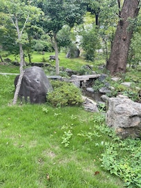 The hotel garden