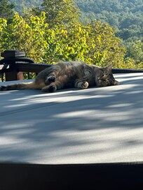 Miss Priss chilling
