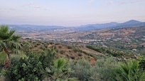 Ausblick Terrasse