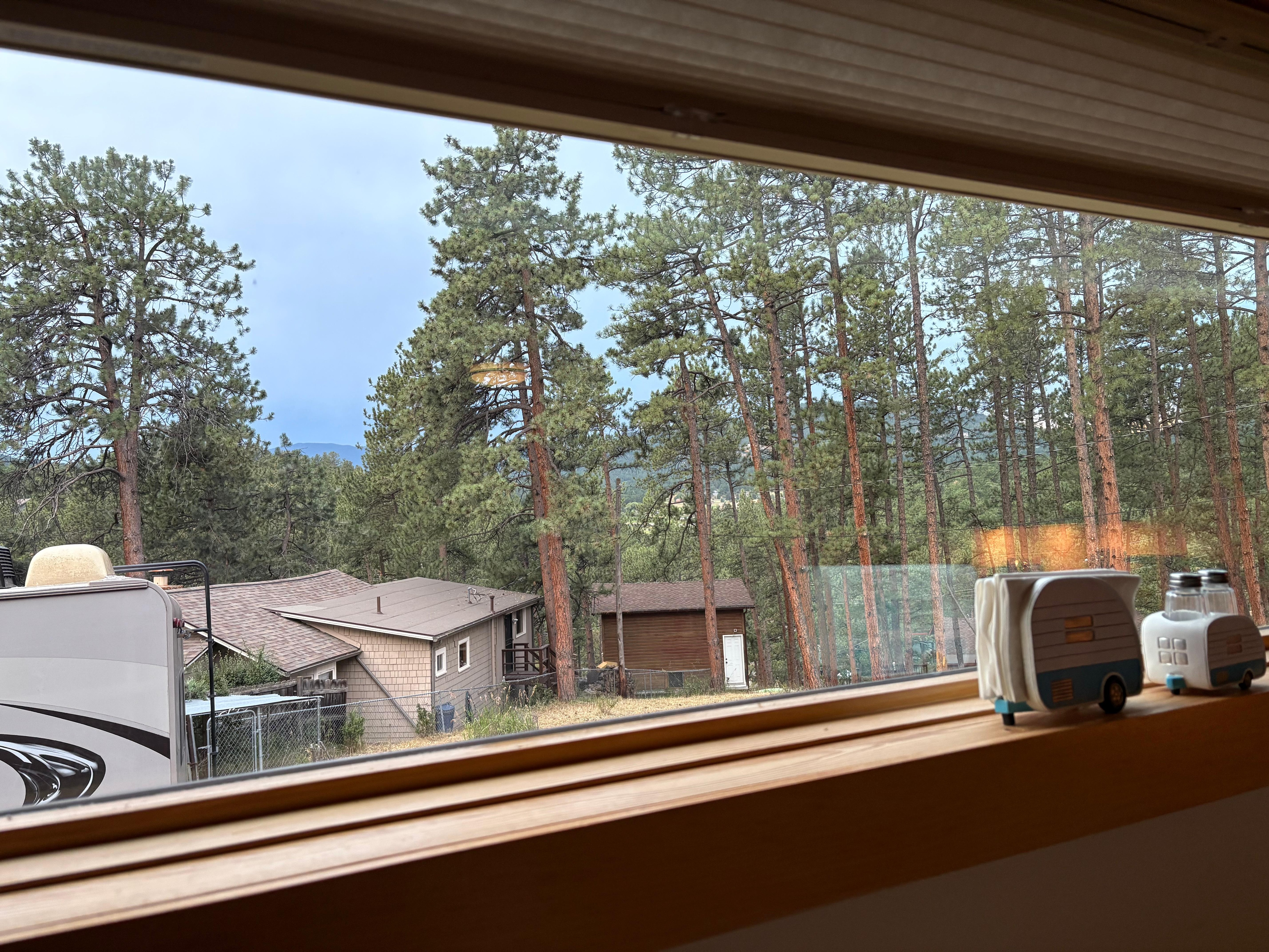 The view from one of the kitchen windows. 