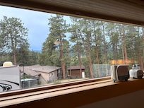 The view from one of the kitchen windows.