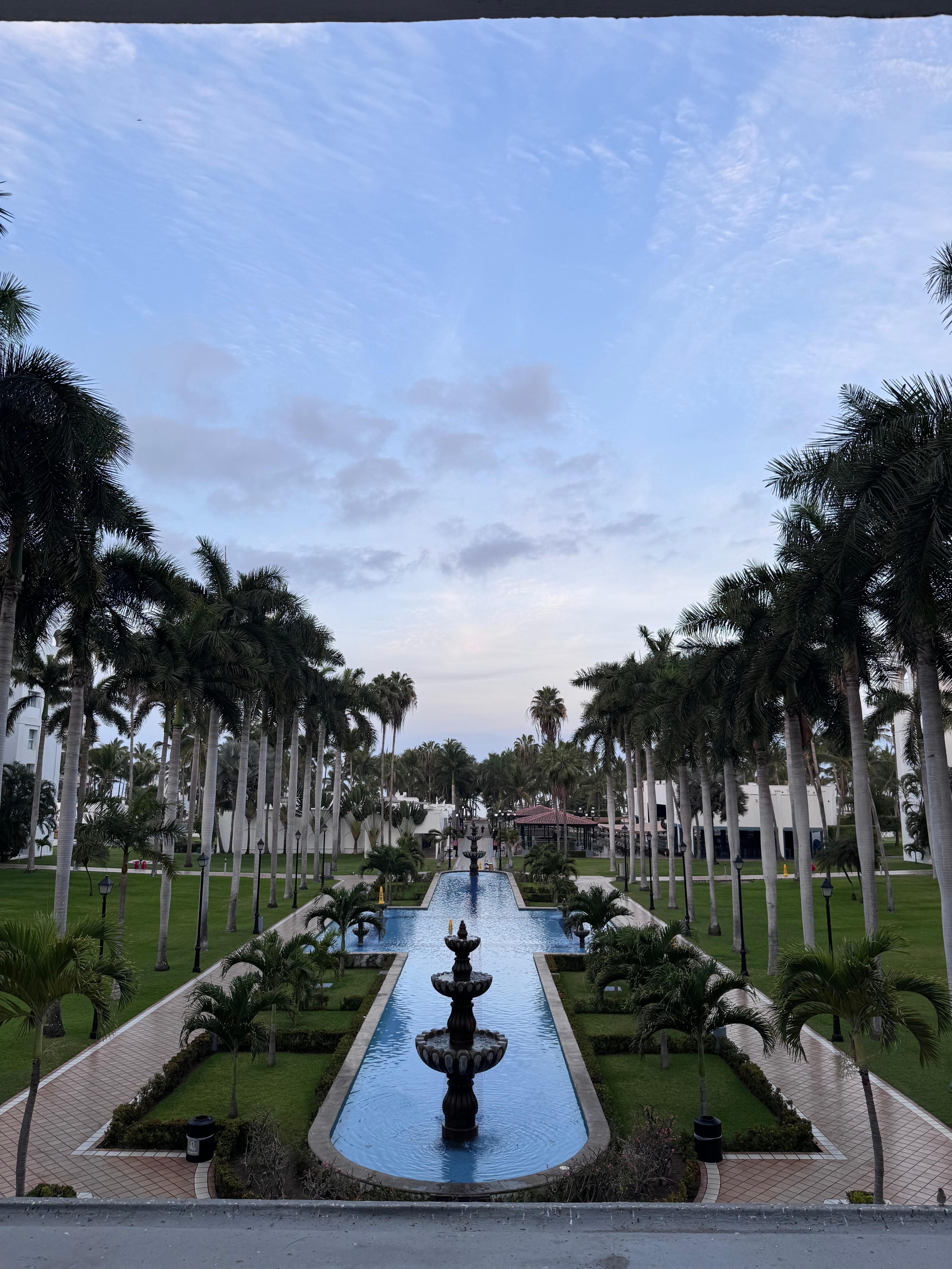 View from lobby bar