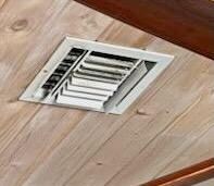 Black mold around vent in living room