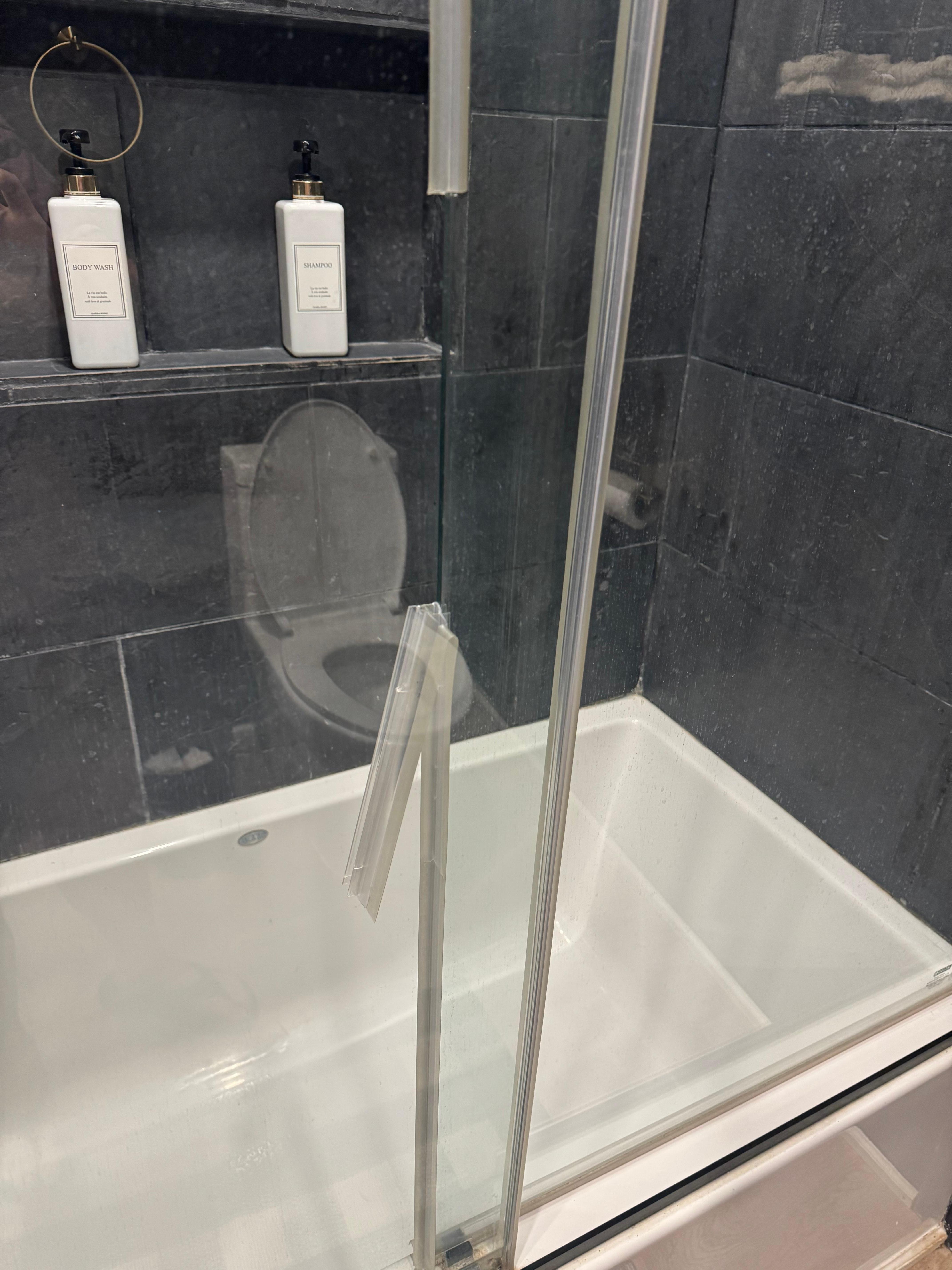 The soap scum, and the shower seal falling apart. 