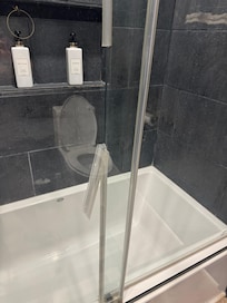 The soap scum, and the shower seal falling apart.